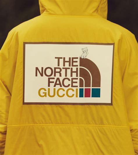 gucci.north face